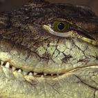 5c8ad1242300003000e73a9a