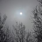 5c8ad4e12000009d036fd516