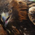 5c8ad124230000dd0423c351