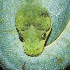 5c8ad125250000bd0581cdfa