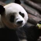 5c8ad1252300002f00e73a9f