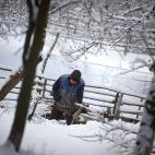 5c8ad4e220000043046fd518