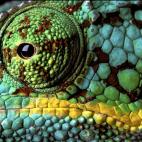 5c8ad1252400006d054c829d