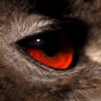 5c8ad1263b000072066ca0ab