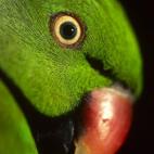 5c8ad1262000009e046fce0e