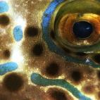 5c8ad1263b000070066ca0ad