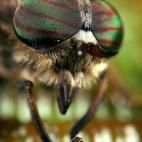 5c8ad1273b000002076ca0af