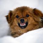 5c8ad4e3230000d50423ca7f