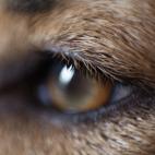 5c8ad1272300005300e73aa5