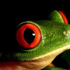 5c8ad1272000009e046fce12