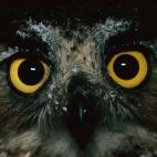 5c8ad1282400000a05a3be30