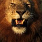 5c8ad128250000e203c9b3d2