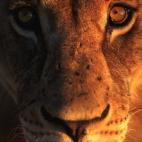 5c8ad12920000045046fce16