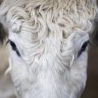 5c8ad12a2300007f0123c359