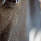 5c8ad12b3b000002076ca0bb