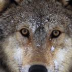 5c8ad12b250000e203c9b3d9