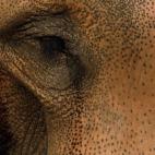 5c8ad12c20000045046fce1a