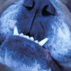 5c8ad12c2500000d04c9b3db