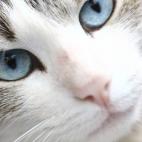 5c8ad12c240000f404a3be3c