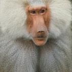 5c8ad12d3b000054066ca0bf