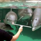 5c8ad12d2500000704c9b3dd