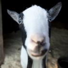 5c8ad12e2500000d04c9b3e0