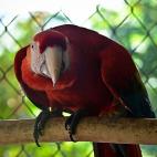 5c8ad12e2400006b054c82a7