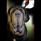 5c8ad12e250000580681ce10