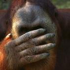 5c8ad12f2400006d054c82a9