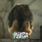 5e37d501230000f9066ecef3