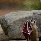 5e37d502220000300023e18c