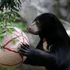 5e37d502220000340423e190