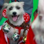 5e37d502230000f9066ecef5