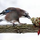 5e37d50323000060006ecef7