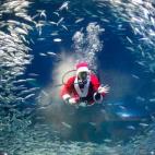 5e37d5032300000e046ecef9