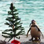 5e37d5042300000e046eceff