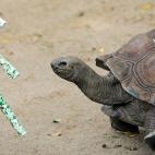 5e37d5042400006a04ed601b