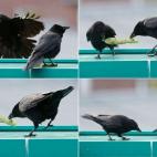 5e37d5042400006904ed601d