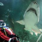 5e37d505230000fa066ecf01