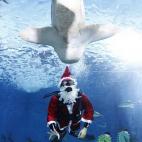 5e37d5052400006a04ed6023