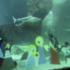 El Belén está compuesto por siete figuras de PVC que simbolizan el nacimiento de Jesús, la llegada de los Reyes Magos de Oriente y a un pastor adorando el grupo.Esta tradición, que se celebra desde 1995, cuenta además con la presencia de se...