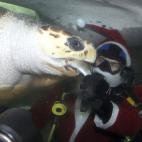 5e37d50723000060006ecf07