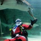 5e37d508230000f9066ecf0d