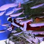 5e37d5082400006904ed602b