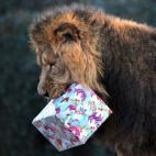 5e37d508230000f9066ecf0f