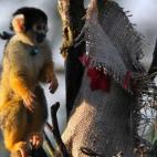 5e37d509230000fa066ecf11