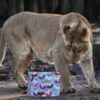 5e37d509220000340423e1a4