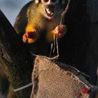 5e37d5092400003100ed602f