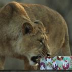 5e37d50a220000340423e1a8