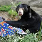 5e37d50a2400006904ed6031